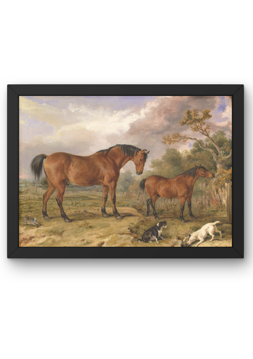 Portrait of Reformer, Blucher, Tory and Crib – Rowland Alston’un Atları Portre Tablosu